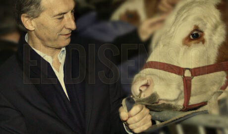 El Disenso
