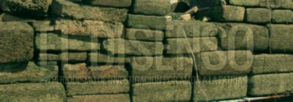 El Disenso