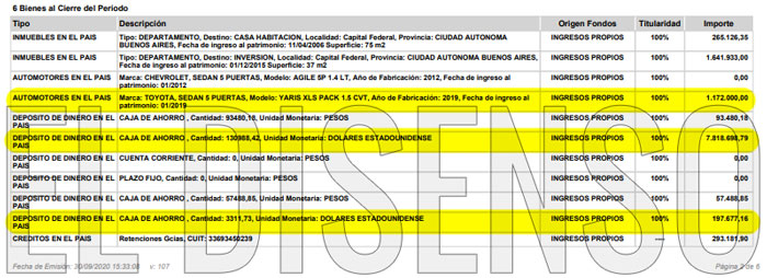 DDJJ Ministra Vizzotti - El Disenso