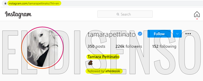 El Presidente sigue la cuenta personal de Instagram de Tamara Pettinato - El Disenso