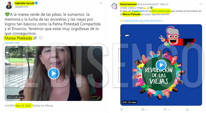 Gabi, La Revolución de las Viejas y la Marea Plateada - El Disenso