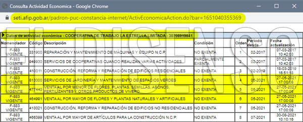 Actividades Económicas Cooperativa de Trabajo La Estrella Ltda - Fuente: AFIP - El Disenso