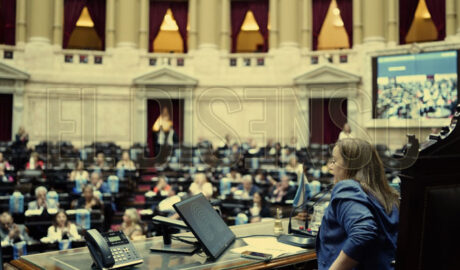 HCDN - El Disenso