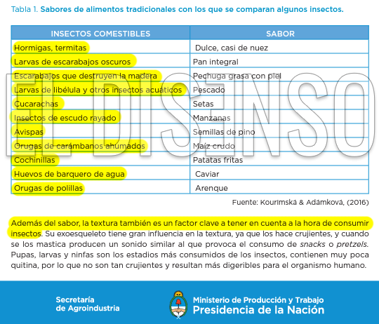 Insectos para todes - El Disenso