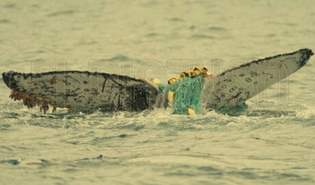 Reciclado de residuos de artes de pesca - HCDN