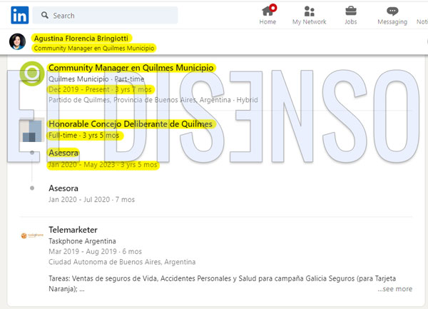 LinkedIn Agustina Bringiotti - El Disenso