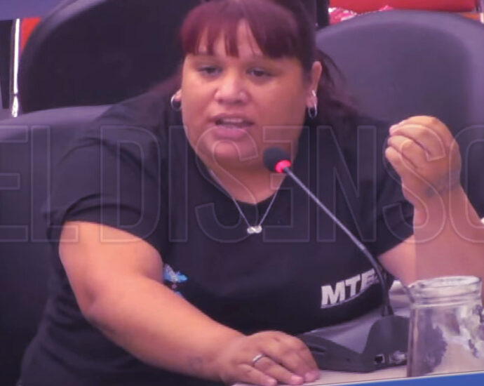 Diputada Nacional Natalia Zaracho - El Disenso