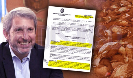 Rogelio Frigerio habilita la caza deportiva de aves autóctonas - El Disenso