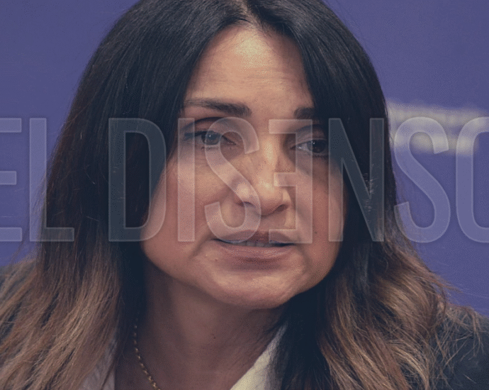 María Cecilia Loccisano - El Disenso