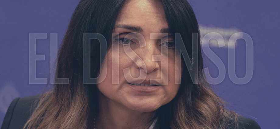 María Cecilia Loccisano - El Disenso